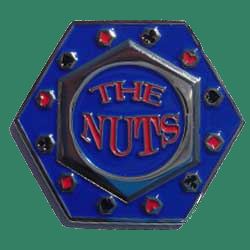 the nuts spinner book cover