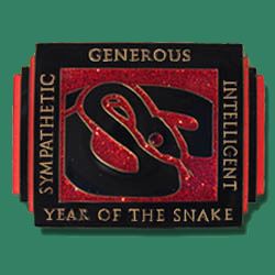 year of the snake spinner book cover